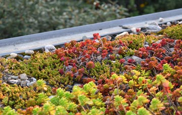 the cost of Carluddon green roof installation